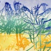 Klein Koolzaadveld (2020) monoprint, 40 x 50 cm (175 euro, Kunstuitleen Alkmaar)