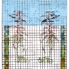 Maurice Christo van Meijel: zonder titel, 13-III-2004, inkt en potlood op papier, 104 x 56 cm.