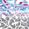 Maurice Christo van Meijel: zonder titel, 17-V-2004, aquarel en potlood op papier, 56 x 104 cm (collectie SBK Amsterdam)