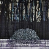 zonder titel, 30-IV-2010, inkt en kleurpotlood op papier, 57 x 77 cm (collectie SBK Amsterdam)