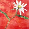 Margriet (2020) aquarel, 50 x 40 cm. (95 euro bij Galerie Posthuys Texel)